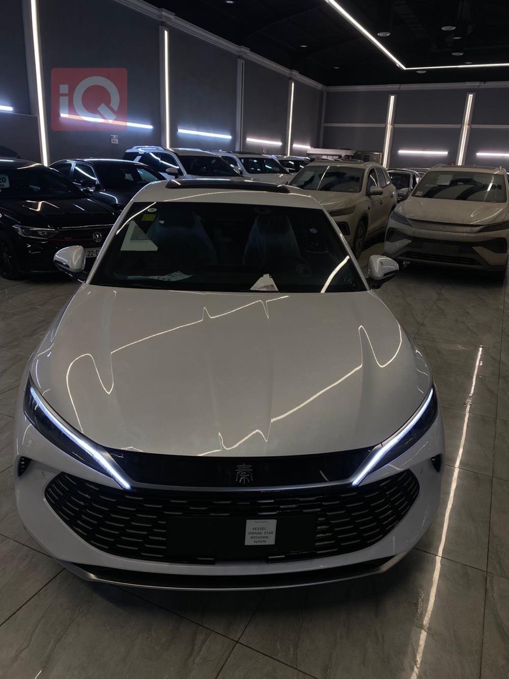 بي واي دي كوين L DM-i